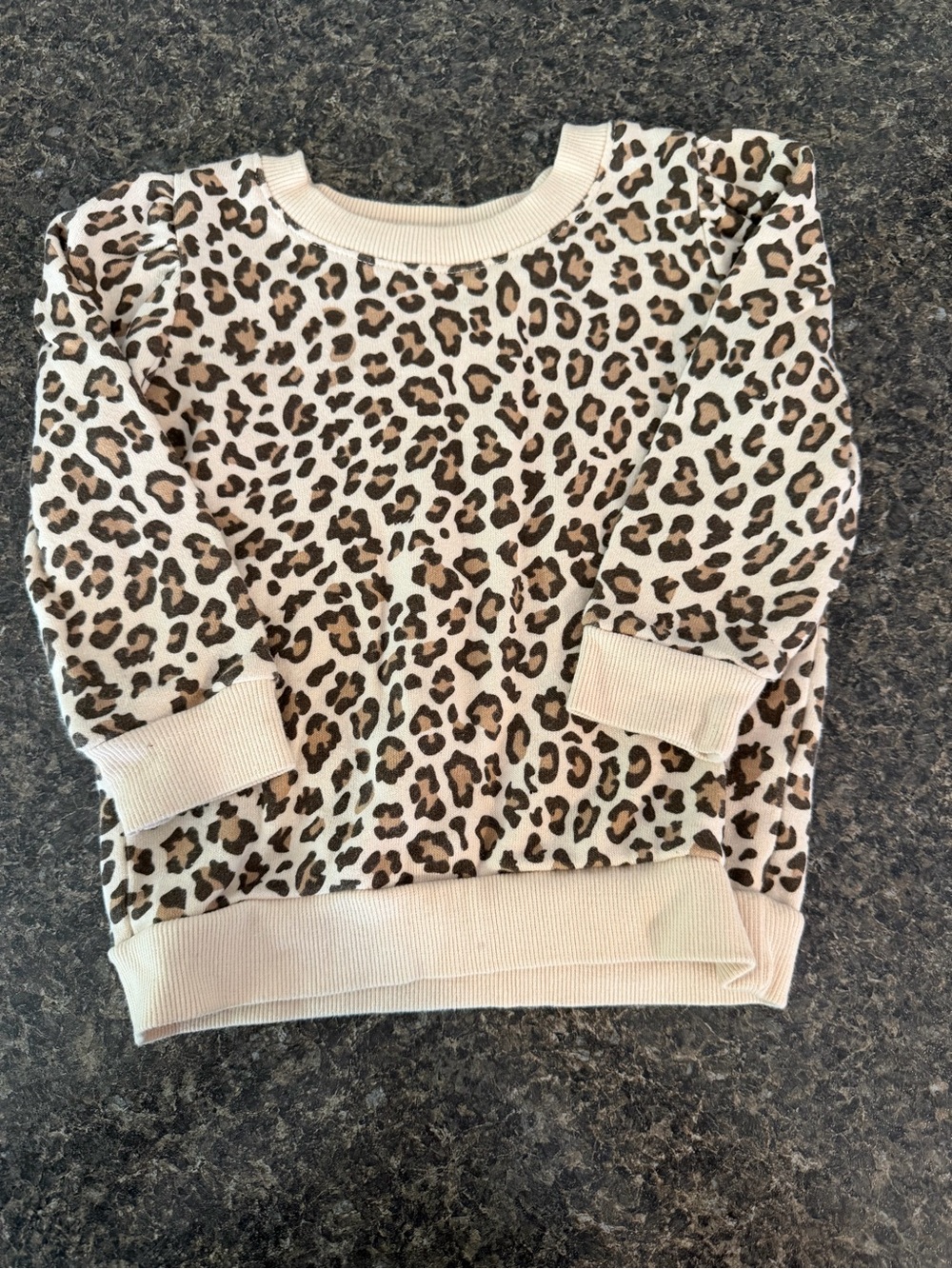 Grayson Mini Leopard Print Pullover Sweatshirt - Cream & Brown